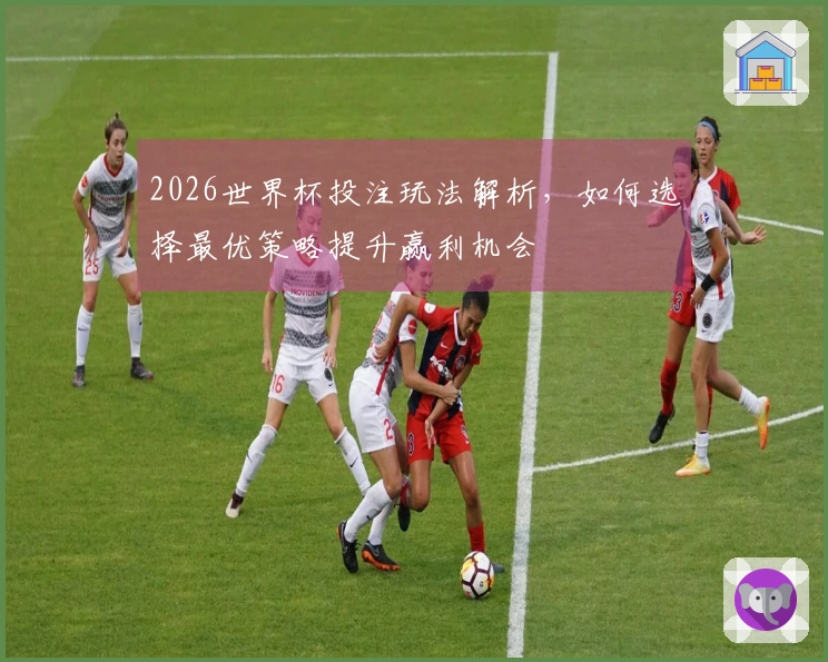 2026世界杯投注玩法解析，如何选择最优策略提升赢利机会