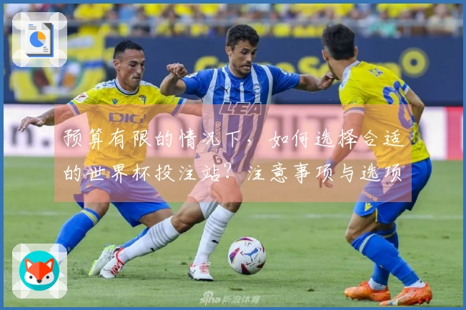 预算有限的情况下，如何选择合适的世界杯投注站？注意事项与选项对比详解