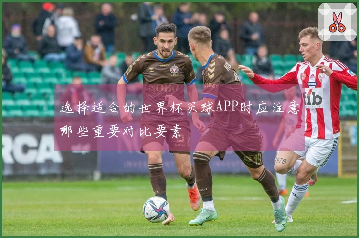 选择适合的世界杯买球APP时应注意哪些重要对比要素