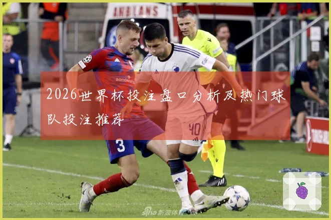 2026世界杯投注盘口分析及热门球队投注推荐