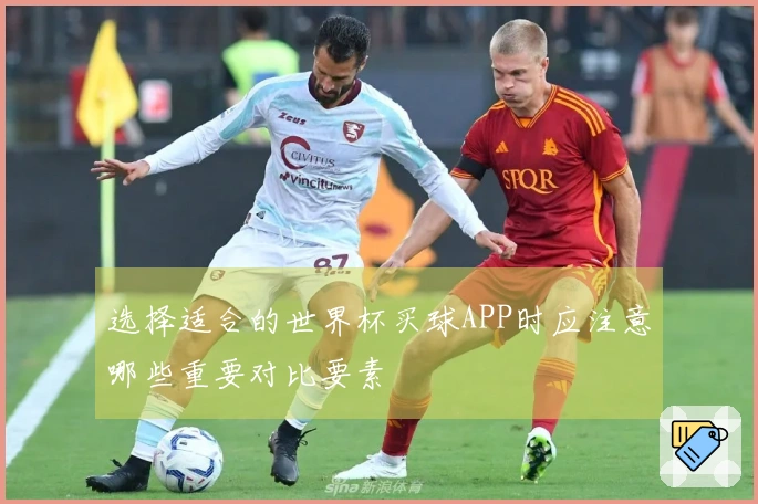 选择适合的世界杯买球APP时应注意哪些重要对比要素